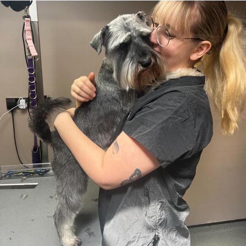 How to choose the right groomer for your dog Choosing a dog groomer is about far more than finding the cheapest or most convenient option. Grooming plays an important role in your dog’s comfort, health, and overall wellbeing and the right groomer will focus just as much on your dog’s experience as the finished look.